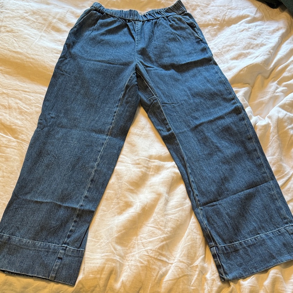 Everlane Denim Blue Jeans